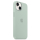 APPLE do iPhone 14 Plus Silicone Case with MagSafe - Succulent - 1071001 - zdjęcie 2